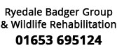 Ryedale Badger Group & Wildlife Rehabilitation